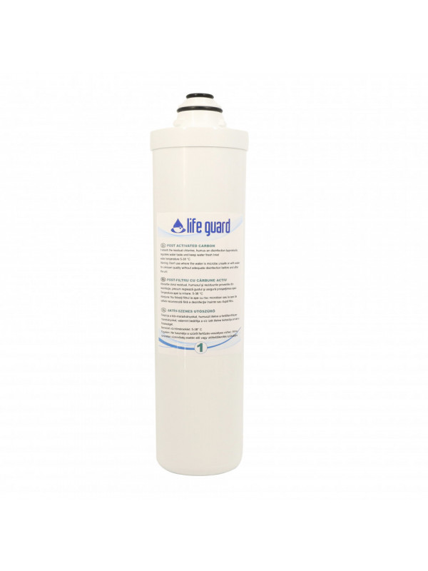 Filtru de rezerva - Post Activated Carbon filter