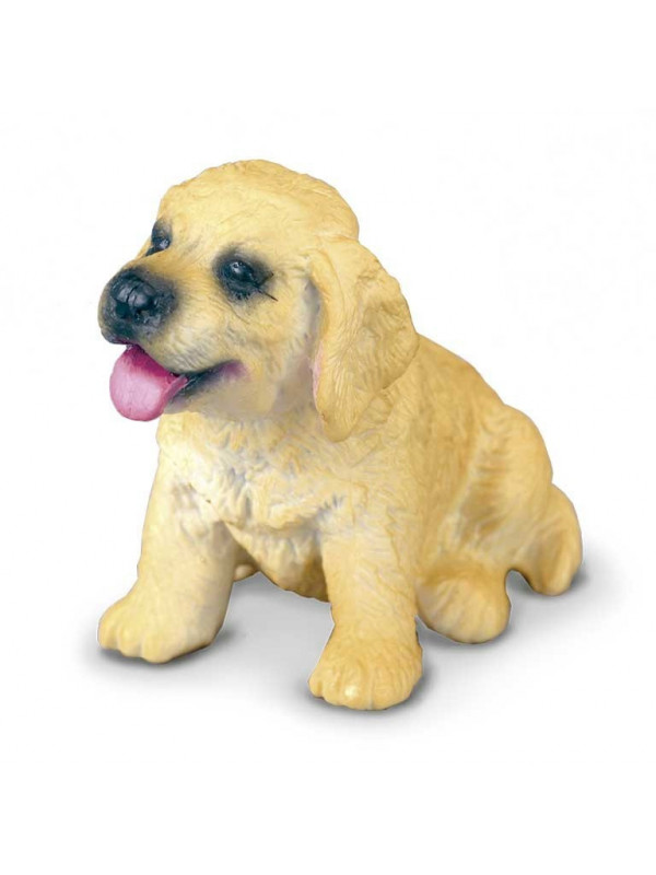 Golden Retriever Pui S Collecta