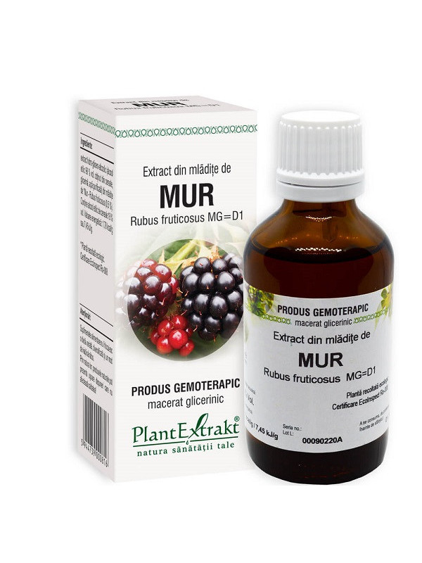 EXTRACT DIN MLADITE DE MUR 50ML
