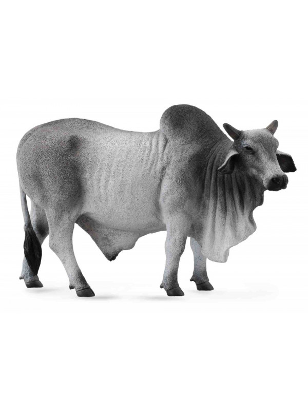 Figurina Taur Brahman L Collecta