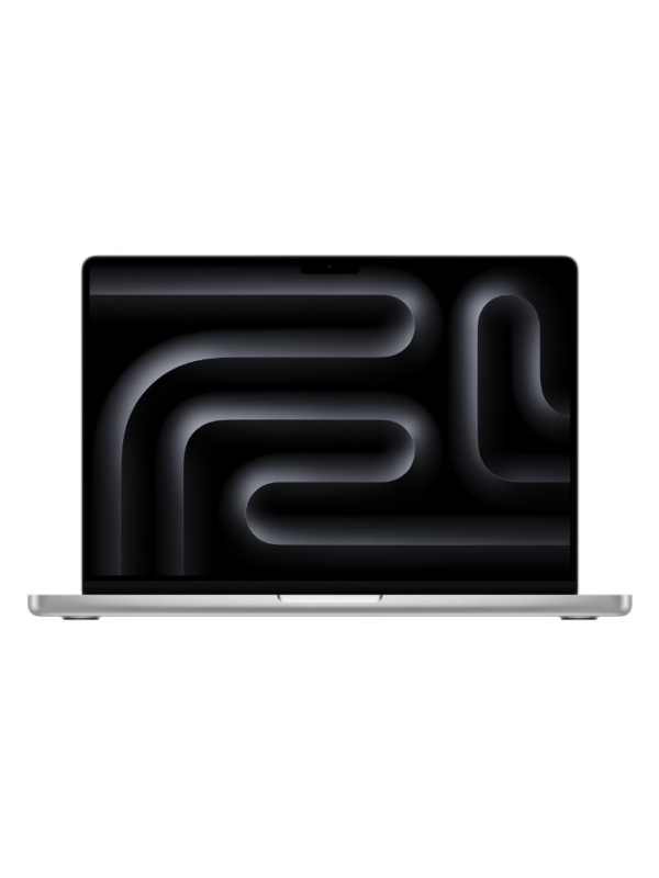 MBP 14 SL/10C/10C GPU/24GB/1TB-ROM