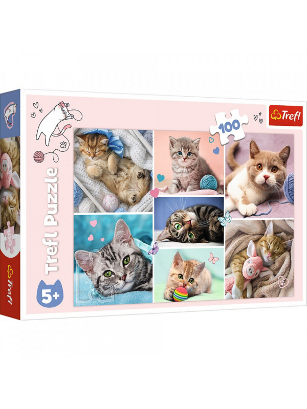 Puzzle trefl 100 in lumea pisicilor