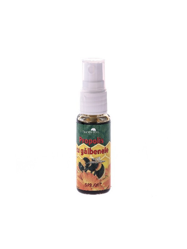 SPRAY PROPOLIS+GALBENELE 25ML