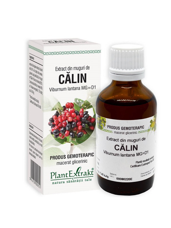 Viburnum lantana (calin) 50ml plantmed