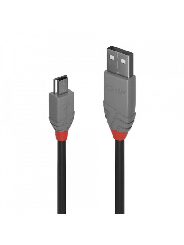 Cablu lindy 2m usb 2.0 type a to miniusb