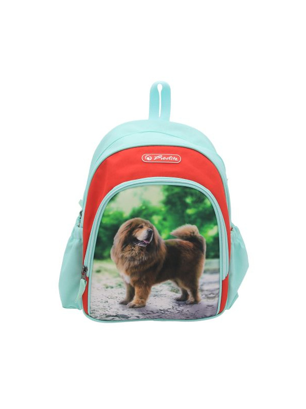 RUCSAC, COOL, DIMENSIUNE, 31X20X12 CM, MOTIV BOSS PHANTOM RED