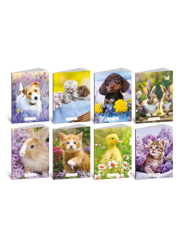 Caiet A4 de exercitii - Pui de animale, 100 g/m2, 36 pag. (Dictando)