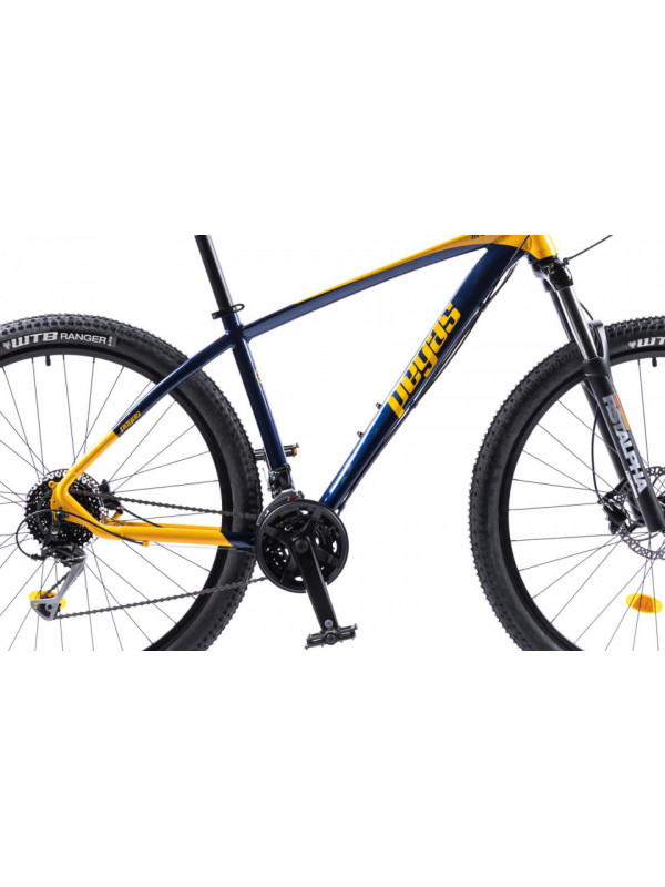 Drumet l 29'' albastru galben
