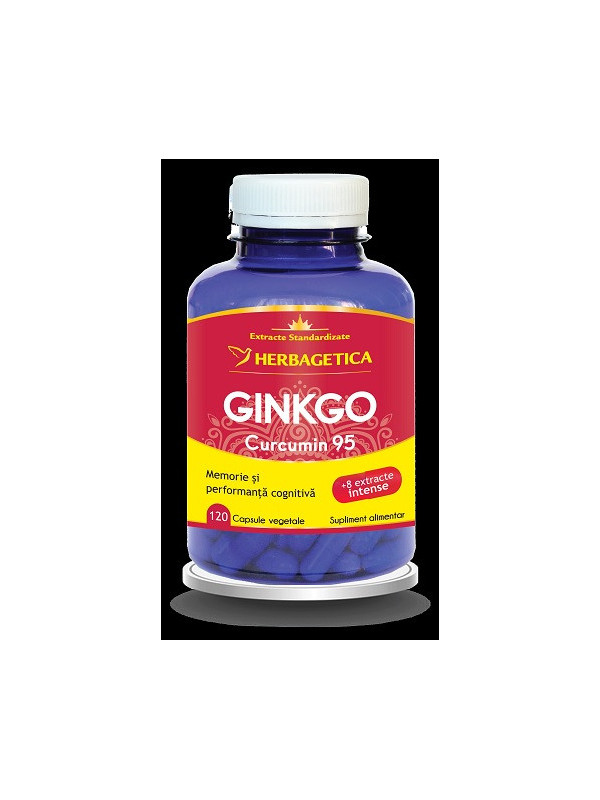 GINKGO CURCUMIN95 120CPS