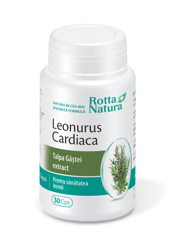 Leonurus cardiaca - talpa gastei extract 30cps rotta natura