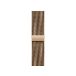 AW BAND 42MM MILANESE GOLD