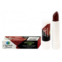 BALSAM BUZE NUANTATOR CHOCOLATE BROWN 4,8GR