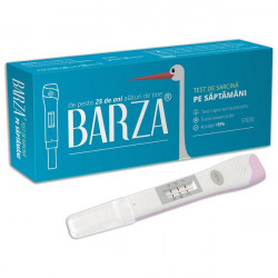 BARZA TEST DE SARCINA PE SAPTAMANI STILOU