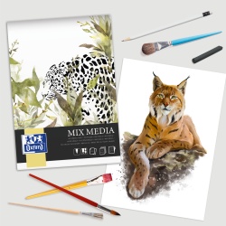 BLOC DESEN OXFORD MIX MEDIA A4 25F 225G/MP FSCÂ® MIX70% COLECTIA ARTISTIC