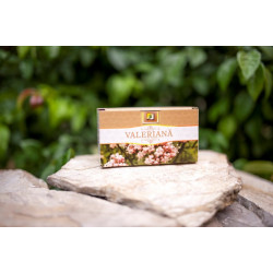 CEAI VALERIANA 20dz STEFMAR