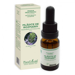 CONCENTRAT MLADITE ROZMARIN 15ML