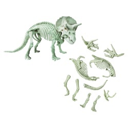 DESCOPERA DINOZAURUL TRICERATOPS - Img 2