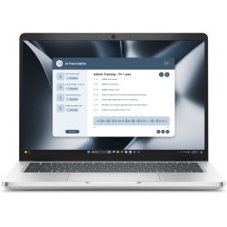 DL PB13255 FHD+ R5P 340 16 512 AMD W11P