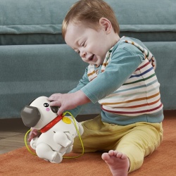 FISHER PRICE JUCARIE DE TRAS INTERACTIVA CATEL CU MISCARI SI SUNETE - Img 5
