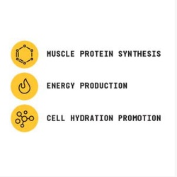 Gnc Beyond Raw Chemistry Labs Creatine Hcl, Creatina Hcl, Fara Aroma, 240 G - Img 4
