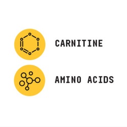 Gnc Beyond Raw Chemistry Labs L-carnitine, L-carnitina, 90 G - Img 3