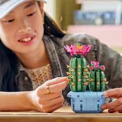 LEGO BOTANICALS CACTUS INFLORIT 11509 - Img 3
