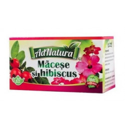 MACESE&HIBISCUS 20DZ