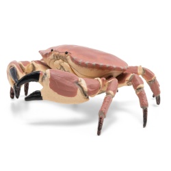 PAPO FIGURINA CRAB - Img 5