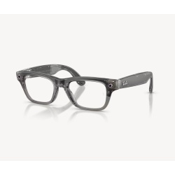 RayBanMeta BlayzerOptics TrIceGr/Demo G2