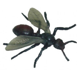 Set de 12 figurine Insecte Miniland - Img 5