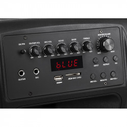 SISTEM PORTABIL SD BLUETOOTH USB 12 INCH 20W - Img 3
