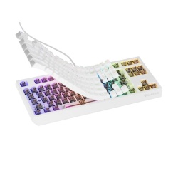 Tastatura Genesis Thor 230 TKL B alb - Img 6
