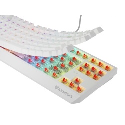 Tastatura WS Genesis Thor 230 TKL R alb - Img 6
