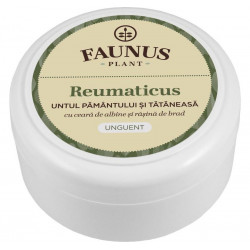 UNGUENT REUMATICUS 100ML (UNT.PAM.&TAT.)