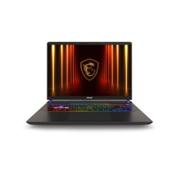 Vector 16 QHD+ U9 275HX 32 1 5070Ti W11H
