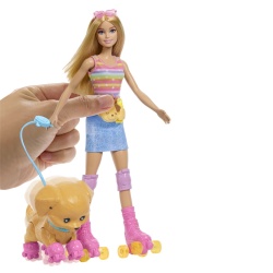 BARBIE PETS SET PAPUSA BARBIE CU PATINE CU ROTILE CATEL SI ACCESORII - Img 9