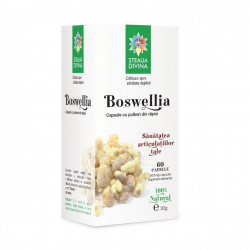 BOSWELLIA 60CPS
