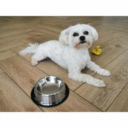 Castron Metalic pentru hranire animale de companie - 22cm - Img 4