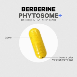 Codeage Berberine Phytosome,formula Pentru Echilibru Glicemic Si Sustinerea Metabolismului Cu Berberina, 60 Cps - Img 8