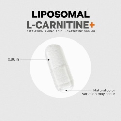 Codeage Liposomal L-carnitine+ , L-carnitina Lipozomala Pentru Energie Celulara Si Suport Metabolic, 90 Cps - Img 4