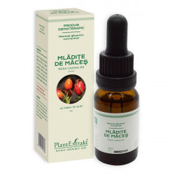 CONCENTRAT MLADITE MACES 15ML