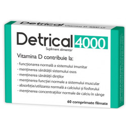 DETRICAL D3 4000IU 60CPR