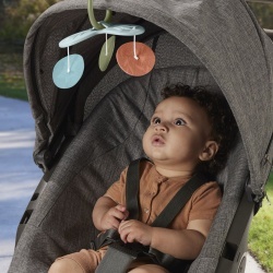 FISHER PRICE SALTELUTA DE GIMNASTICA PENTRU NOU NASCUTI - Img 8