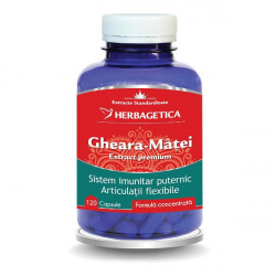 GHEARA MATEI 120 CPS