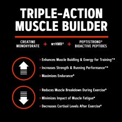 Gnc Amp Creabolic, Formula Premium De Creatina Monohidrata, Hmb, Peptistrong Pentru Forta Si Masa Musculara, Cu Aroma De Fructe Tropicale, 408 G - Img 7