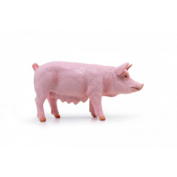 PAPO FIGURINA SCROAFA
