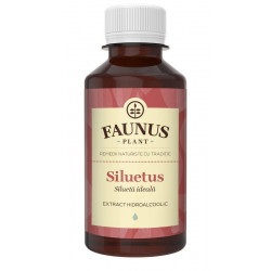 TINCTURA SILUETUS 200ML (SILUETA IDEALA)