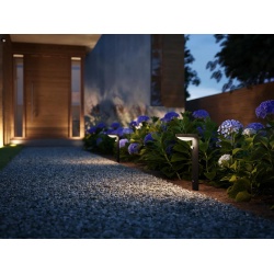 TYLA IR PEDESTAL AN 1X1.2W 30K SR UE - Img 3