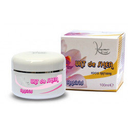 UNT DE SHEA ANTIRID 100ML