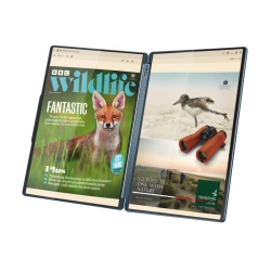 YG Book9 14T 2.8K U7 255H 32 1T UMA W11H - Img 3